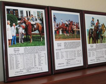 Secretariat The Road to Triple Crown 1973 Set of Kentucky Derby Preakness Belmont
