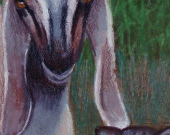 original art aceo drawing goat and cat