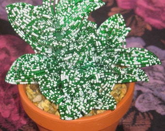 Handmade French beaded Hypoestes or polka dot plant