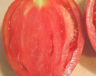 Pink Oxheart Tomato, heirloom 10+ seeds