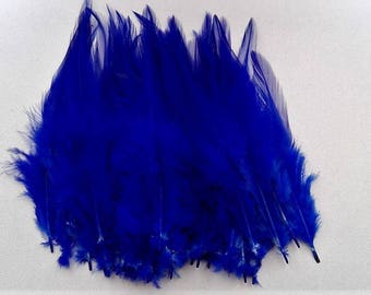 set of 50 dark blue feathers 10-15cm