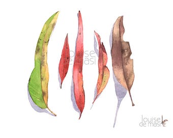 Eucalyptus Leaves original watercolor painting, Original watercolor painting eucalyptus leaves, Gum leaves original watercolour painting
