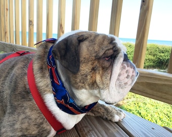 Cooling Collar, Shark Hibiscus Dog Neck Cooler, Polymer Fabric Bandana w/ Buckle Size Extra Large fits 22-26" neck, English Bulldog iycbrand