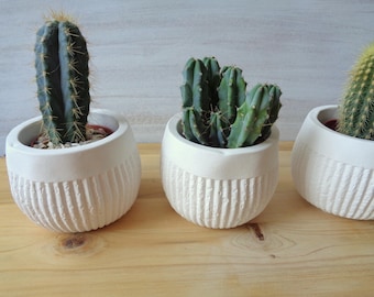 Ceramic plant pot, Set of 3 planters, Succulent planter, Geometric Planter, Cactus Planter, Concrete Succulent Planter