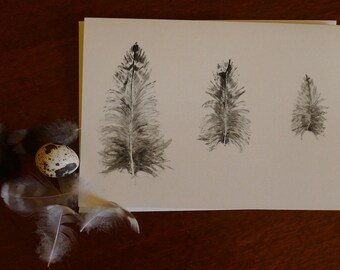 Greeting card - Three Ibis feathers