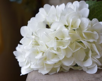 Splendid Hydrangea in white -ITEM023