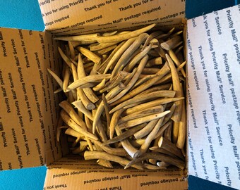 300 pcs 4-6" Deer antler Tips on Sale