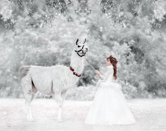 LIMITED EDITION 'Winter Wonderland' Couture Flower Girl Dress