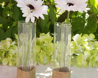 Decorative Test Tube Vase
