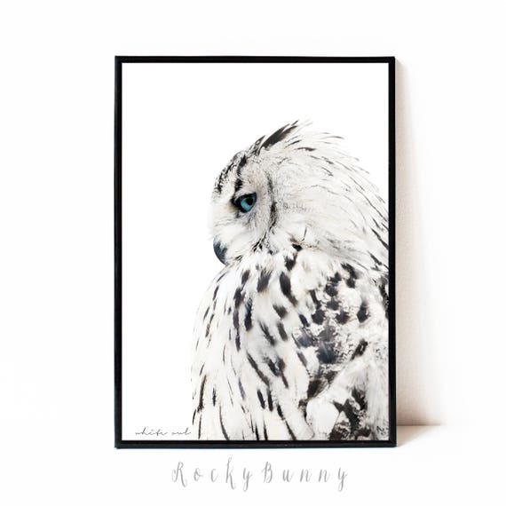 Owl wall art print black and white printable poster instant download bird printable art modern owl print modern animal wall art Owl wall art print black and white printable poster instant download bird printable art modern owl print modern animal wall art