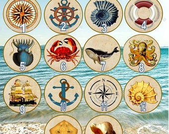 Nautical Sea Creatures Wood Drawer Knobs on Cherry Wood Knobs 1.5 Beach Nautical Wood Drawer Pulls