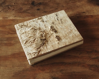rustic wedding guest book or journal - birch bark cabin guest book - champagne natural unique wedding anniversary gift ready to ship