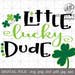 Little Lucky Dude svg,st patrick's day shirt design,digital file for silhouette,cricut svg,boy st patrick shirt,green shirt idea, eps dxf