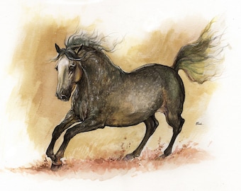 Andalusian horse original pen and watercolour painting