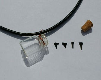 Shark Teeth in a Bottle Neclace