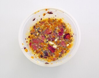 Hermie's Healing Soup - Hermit Crab Food - Organic - Hermit Crab - Pet Food