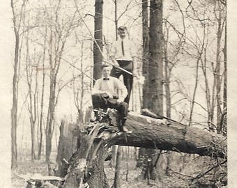 Vintage Photo "Little Brother Has An Axe" Boys In Trees Found Vernacular Photo