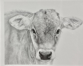 Cow pencil drawing | Etsy