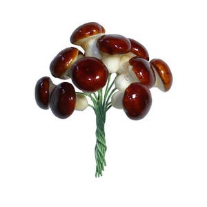 Mushrooms Spun Cotton Germany 24 Ivory And Russet Brown 18mm Forest Mushrooms MU18FBRx2