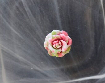 salmon and green cabochon flower scrapbooking
