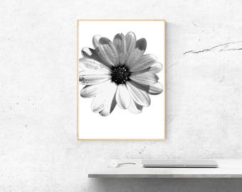 Daisy print | Etsy