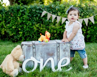 wood sign ONE 1st Birthday photo props one for photos wooden letters First Birthday ONE, photo props one, number one, Wooden Number