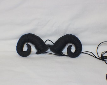 Black twisted ram horns