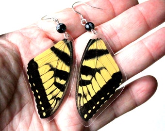Eastern Tiger Swallowtail Butterfly Earrings with Black Obsidian Gemstone, Real Butterfly Wing Earrings