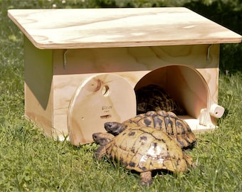 House For Tortoises with the wooden basis