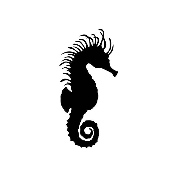 Download Seahorse Fish Sea Horse Graphics SVG Dxf EPS Png Cdr Ai Pdf