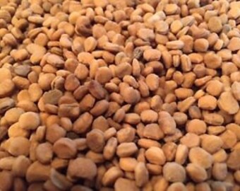 American ginseng seed 1000