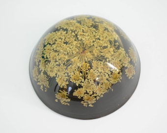 Vintage Acrylic Queen Anne Lace Dried Herb Paperweight Probably Made in Canada by Tarax Infinity - Flowers, Weeds, Plants