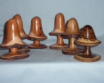 A selection of Toadstools in various woods