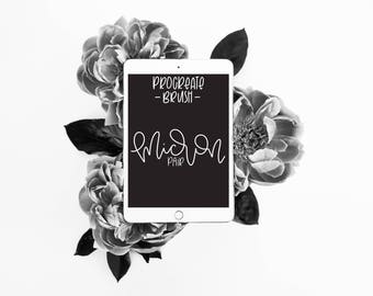 Micron Brush Pair - For Procreate - Lefty Script - iPad Pro - Instant Download - Custom Brush for Hand Lettering