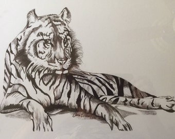 Auburn Tigers