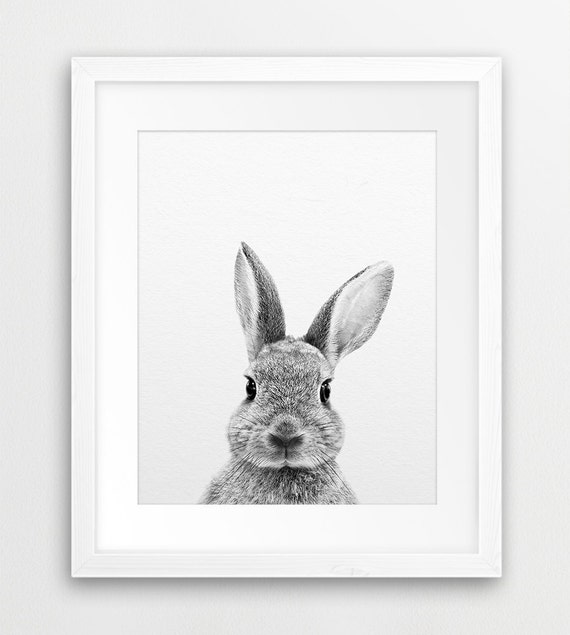Rabbit print rabbit photography bunny print black white animal print rabbit wall decor woodlands animal nursery decor printable art Rabbit print rabbit photography bunny print black white animal print rabbit wall decor woodlands animal nursery decor printable art