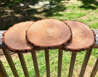 12 pc. 10 inch tree slices for centerpieces, tree slices for tables, wood discs, wood slice centerpieces, wedding table decor!