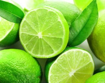 Key Lime Seeds, Citrus aurantifolia, Fresh Organic Heirloom Seeds