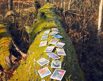 Universal Mind Oracle Deck: Preorder, Inspiration Cards, Oracle Cards, Altar Tools, Tarot Card Deck, Card Deck, Tarot Reading, Oracle