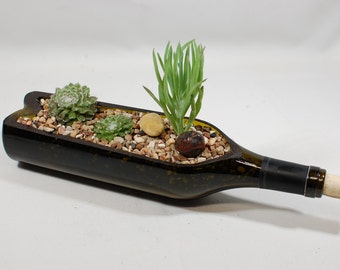 Succulent/Cactus Planter - Handcrafted from Recycled Wine Bottle