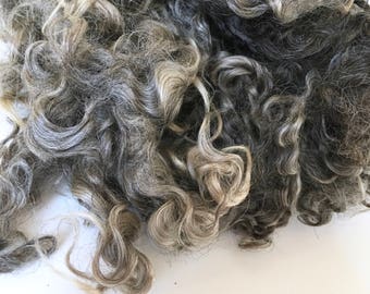 Wensleydale Fleece, Washed, Undyed, Silver, Gray, Black 2 Ounces, Natural, Fiber, Wool, Spin, Felt, Doll Hair