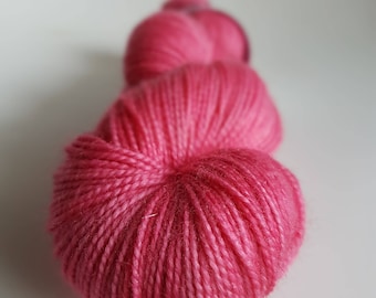 Skein of Superwash Merino - Nylon - Stellina / Fingering / Sock hand - dyed colors Shun