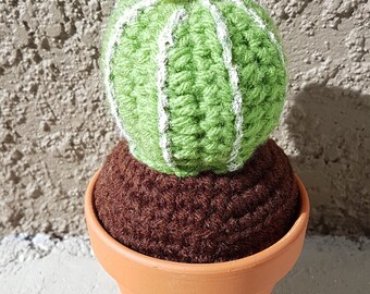 Crochet Barrel Cactus with White Flower 2