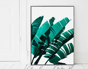 Emerald Green Banana Leaves, Banana Leaves, Green Banana Leaves, Banana Leaf, Emerald BananaLeaves, Tropical Leaf, Green Banana Leaf