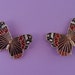 Colorful Butterfly Pin. Vintage Brooch. Collectible Metal Badge. Souvenir PIn. Soviet Pins, Soviet Badges. Made in USSR.