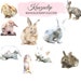 Watercolor Bunny Collection - Commercial and Personal Use