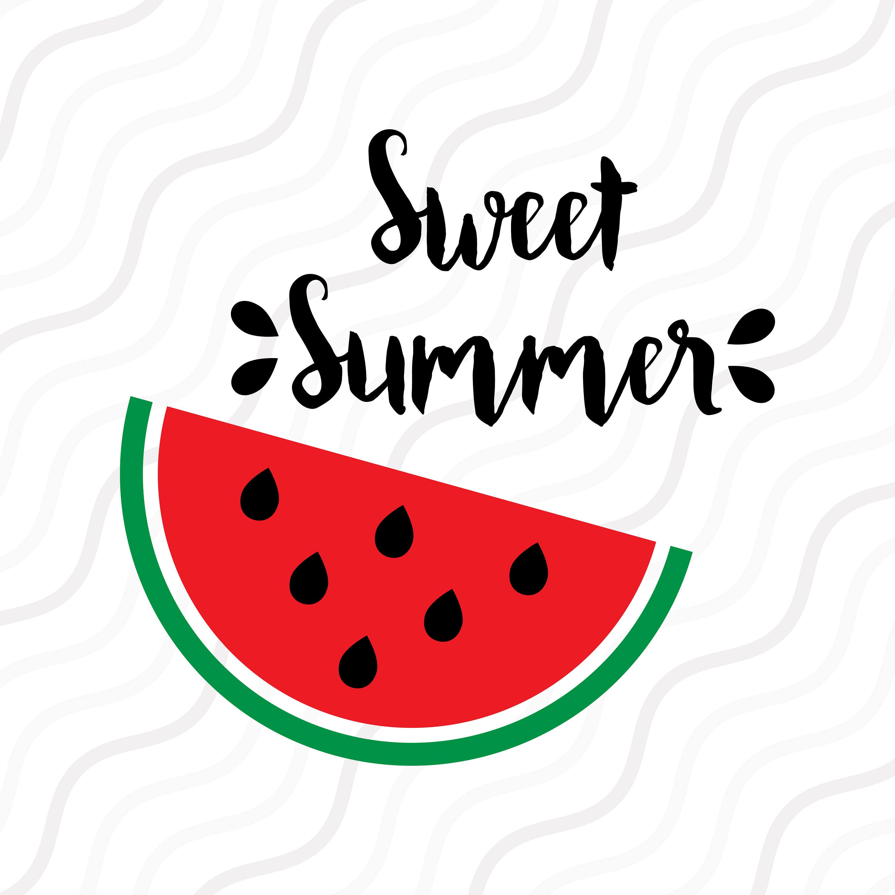 Download Sweet Summer SVG Summer SVG Watermelon svg Melon SVG Cut
