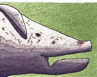 ACEO. Original artwork trading card. 'Porky'