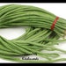 100+Yardlong Bean,Black Seed,Asparagus Bean Seeds Vegetable Yard Long ,Đậu Đũa .Vigna unguiculata subsp. sesquipedalis
