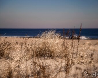 Sand Dunes